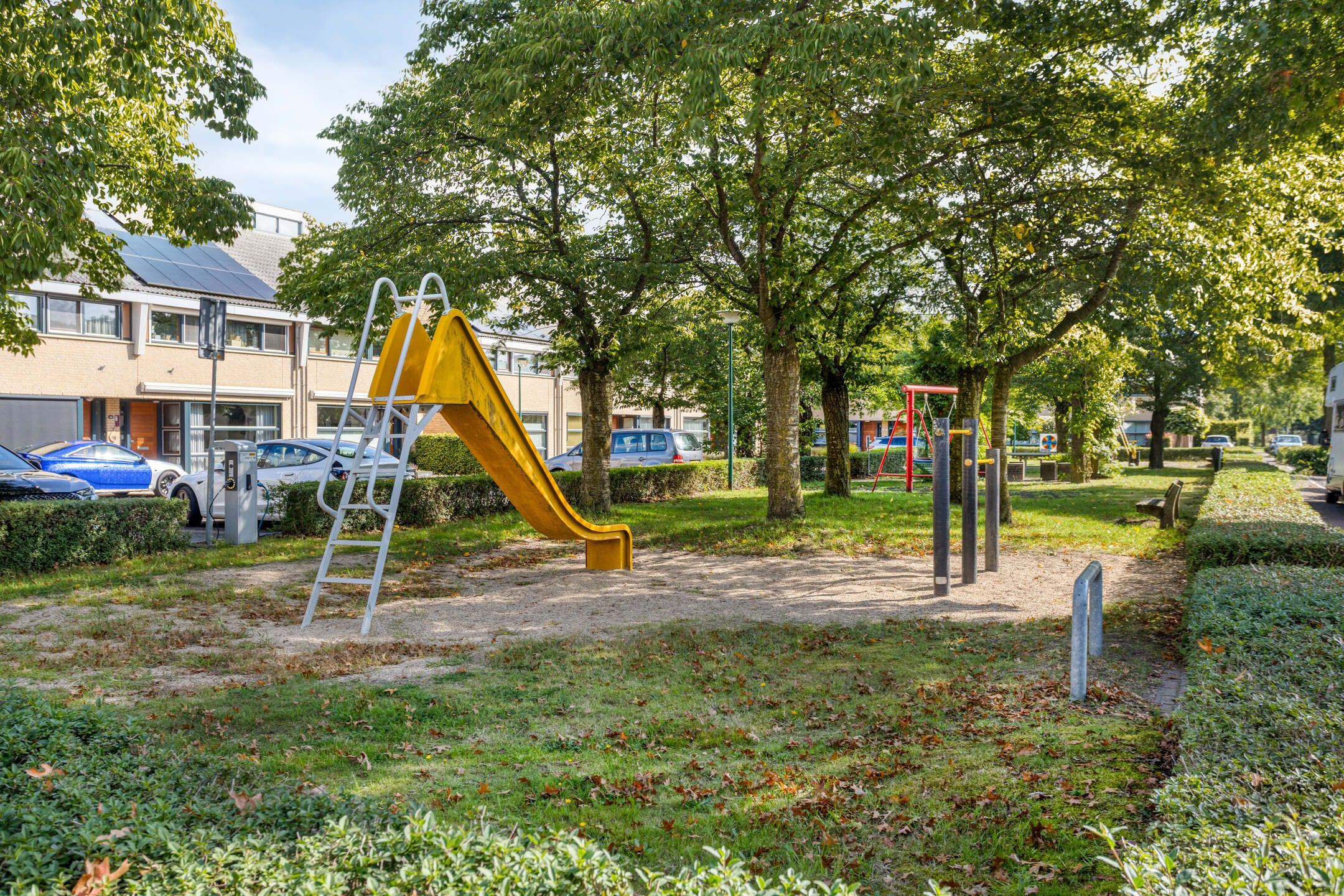 Photo 33 of Duifkruid 71