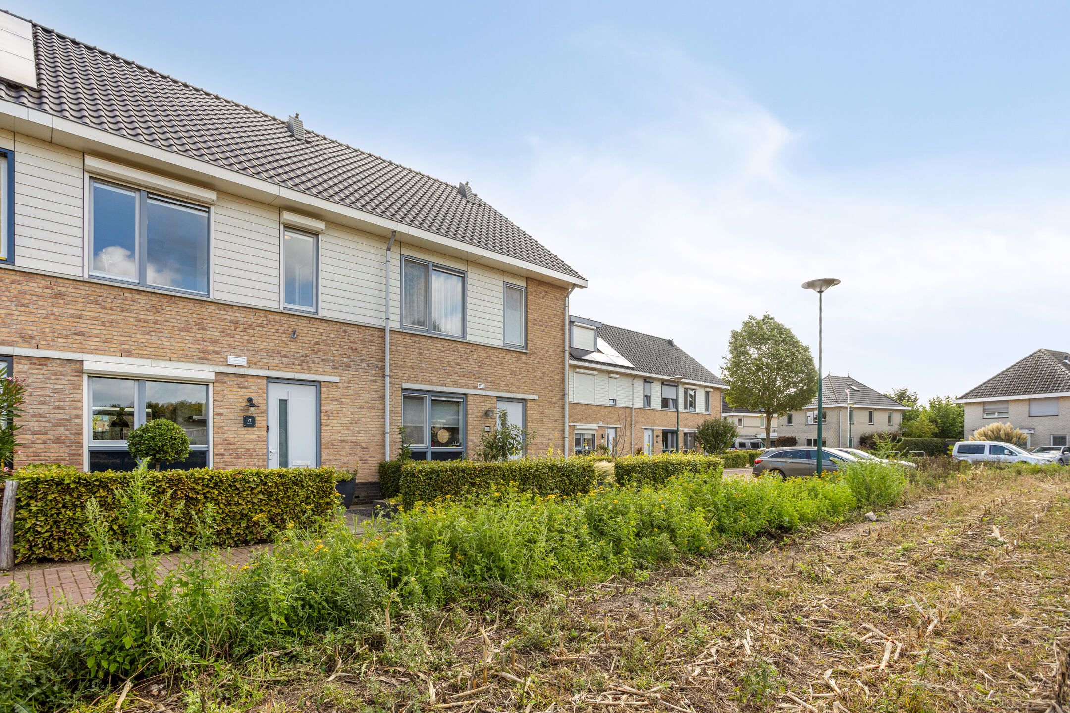 Photo 6 of Duifkruid 71