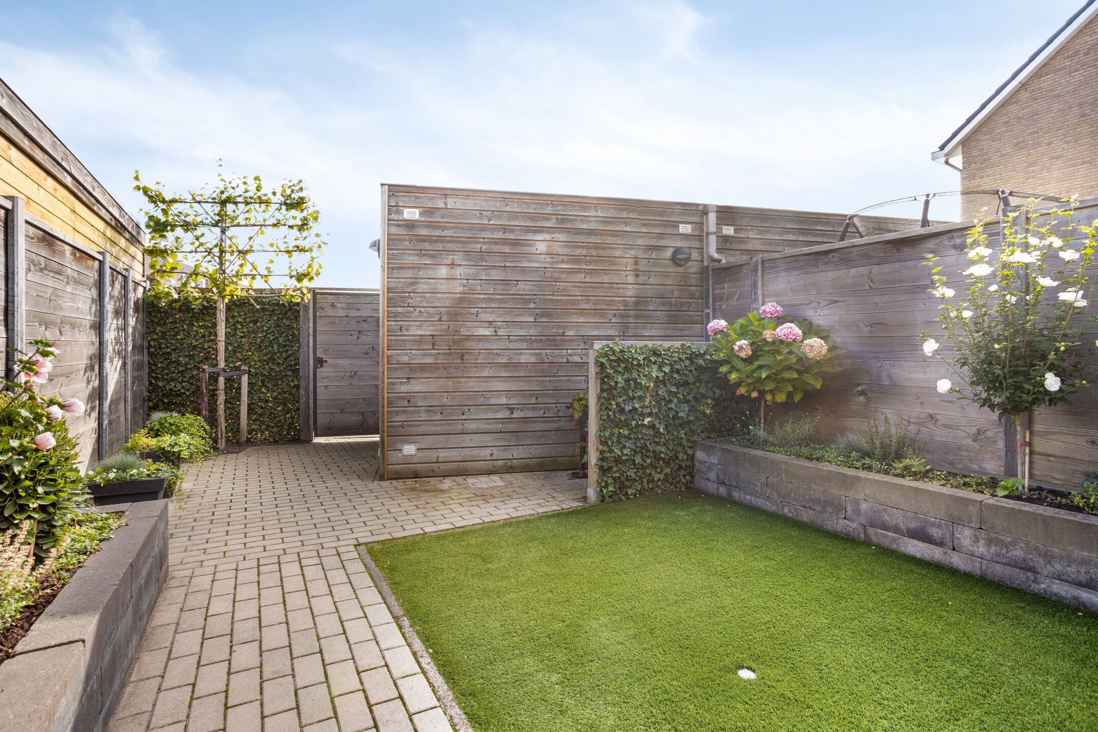 Photo 21 of Duifkruid 71