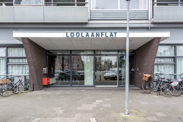 Foto 5 van Loolaan 27-111