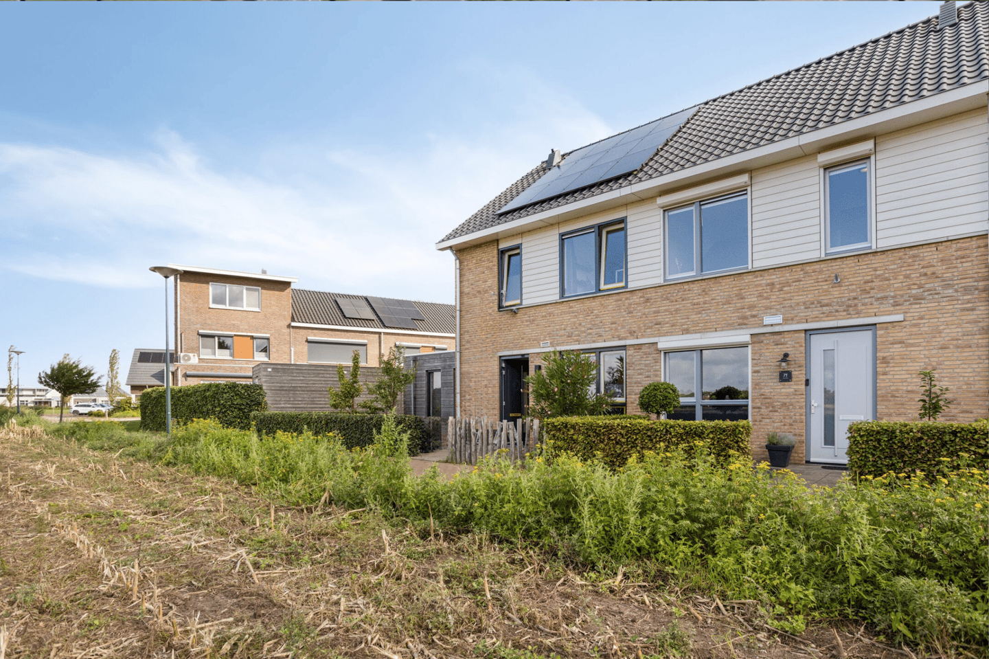 Photo 5 of Duifkruid 71