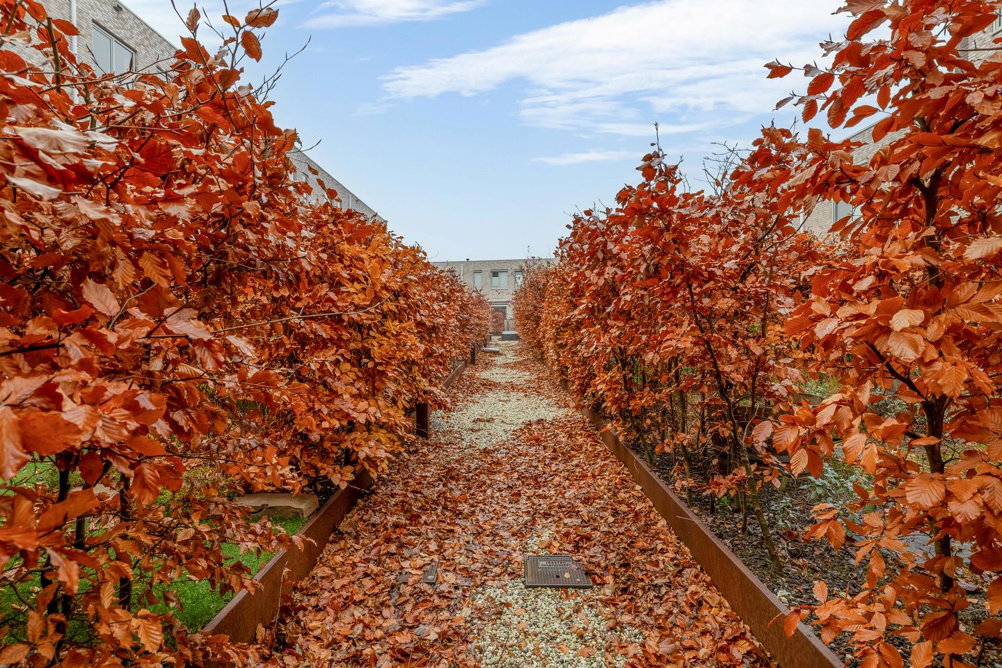 Foto 35 van Hudsonstraat 189