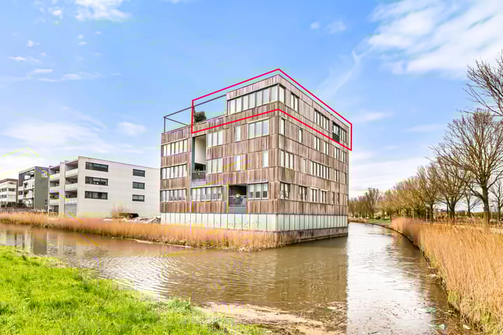 L. Springerstraat 252