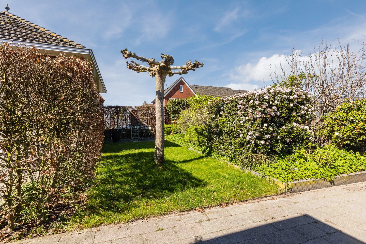 Foto 35 van dokter van de Karplein 4