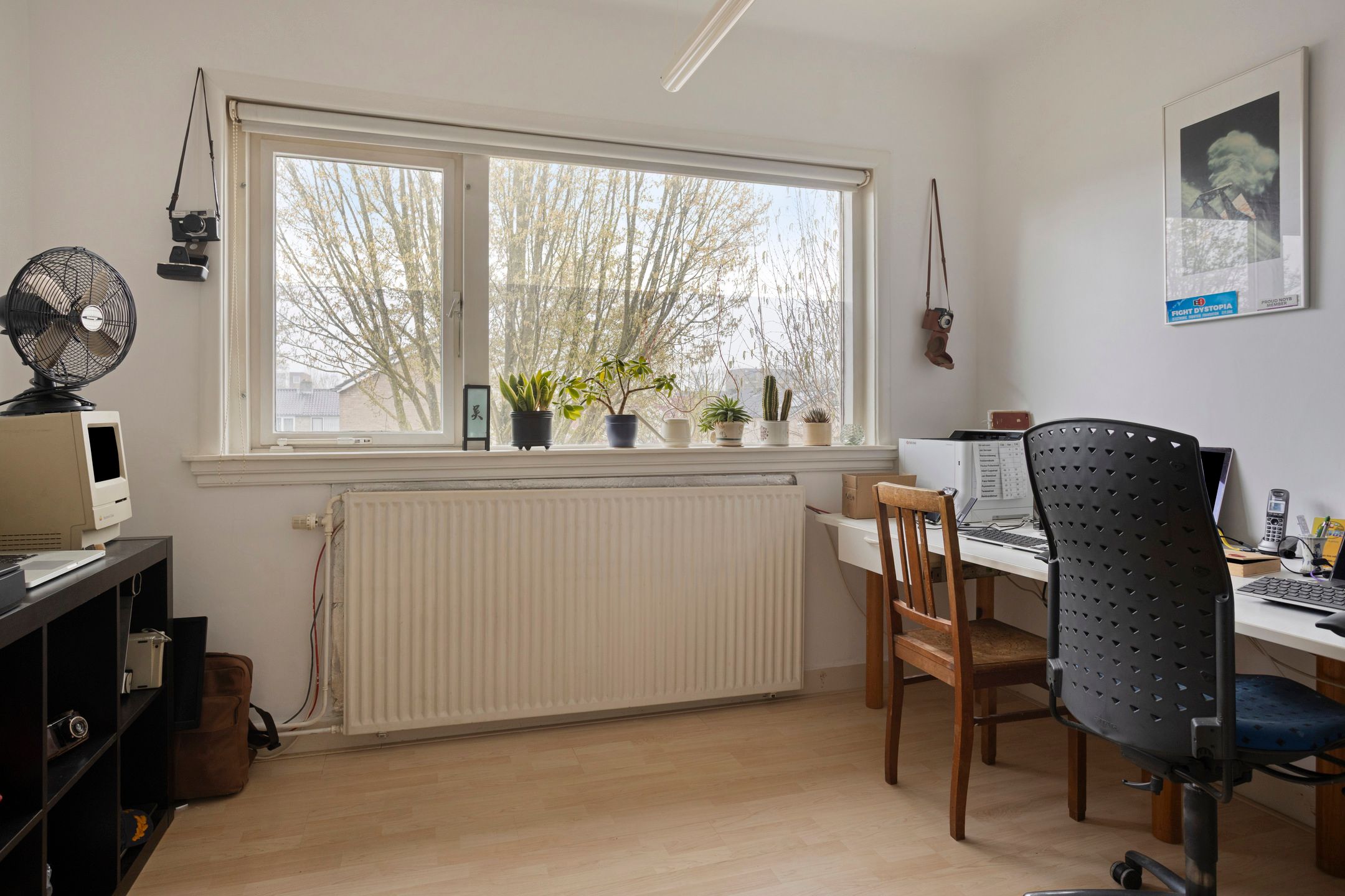 Foto 36 van Albert Cuypstraat 19