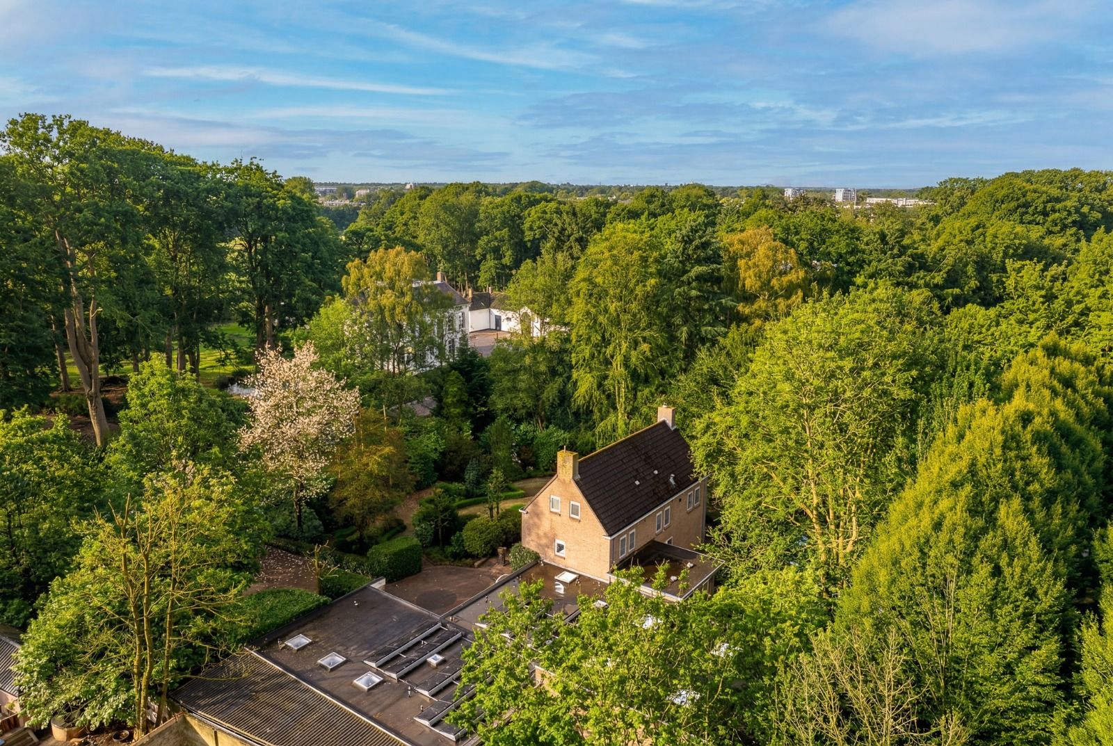 Ridderstraat 37 