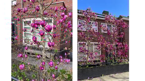 Hendrik de Keyzerlaan 87 secondary image