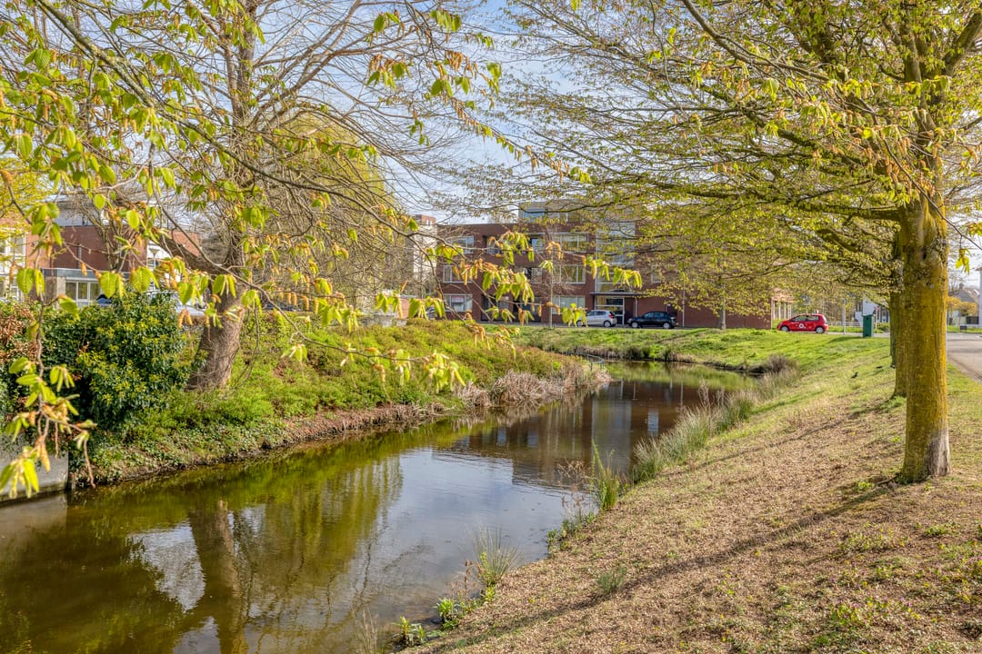 Foto 38 van Schout van Lyndenstraat 6