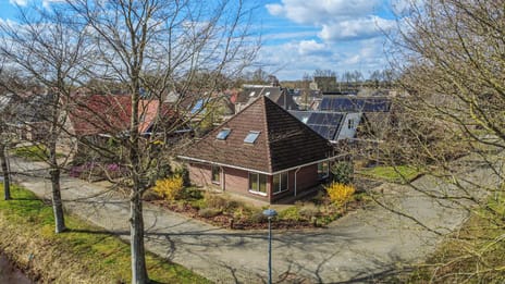 Boerhoorn thumbnail