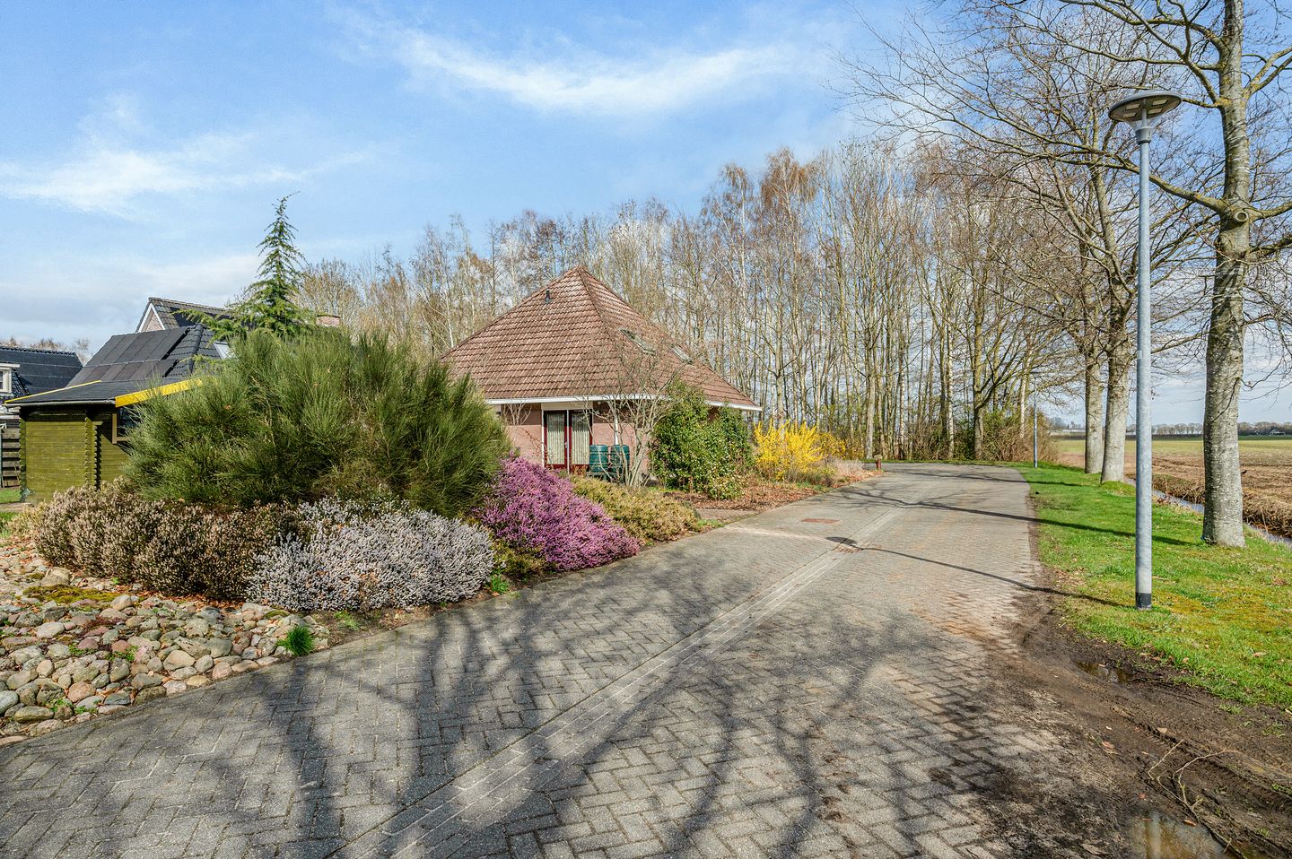 Photo 5 of Boerhoorn 9