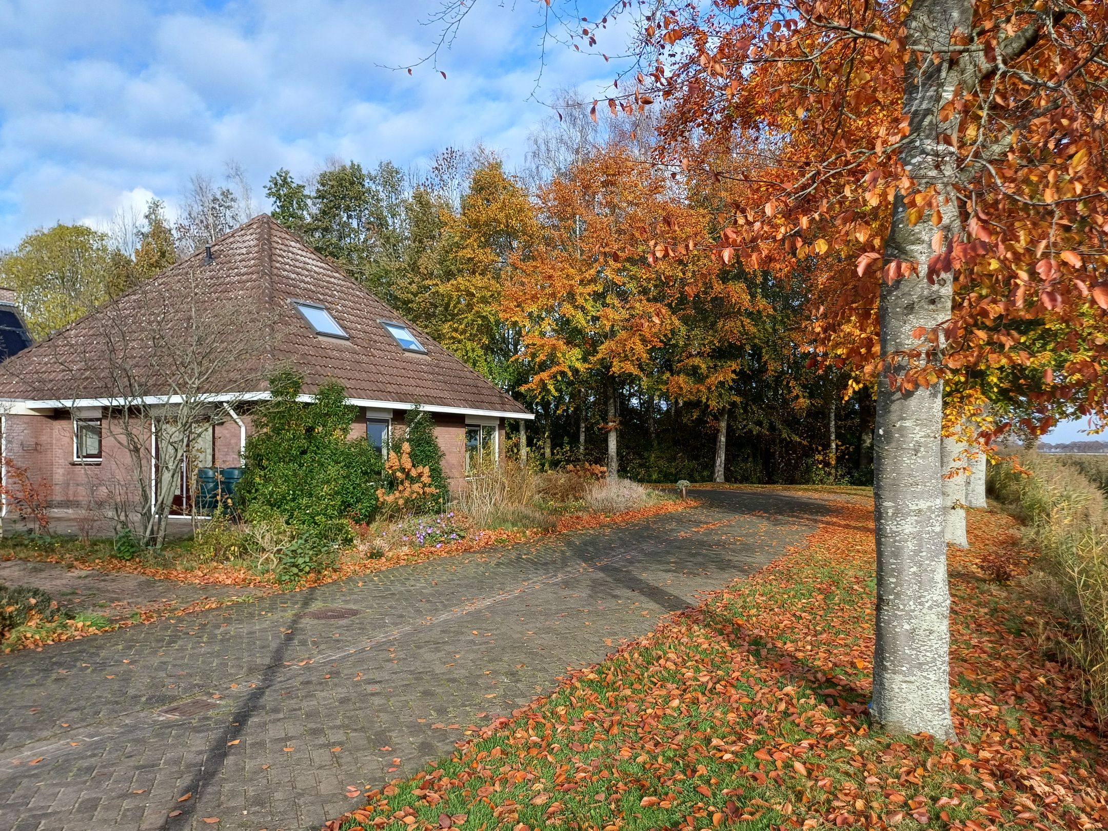 Photo 6 of Boerhoorn 9