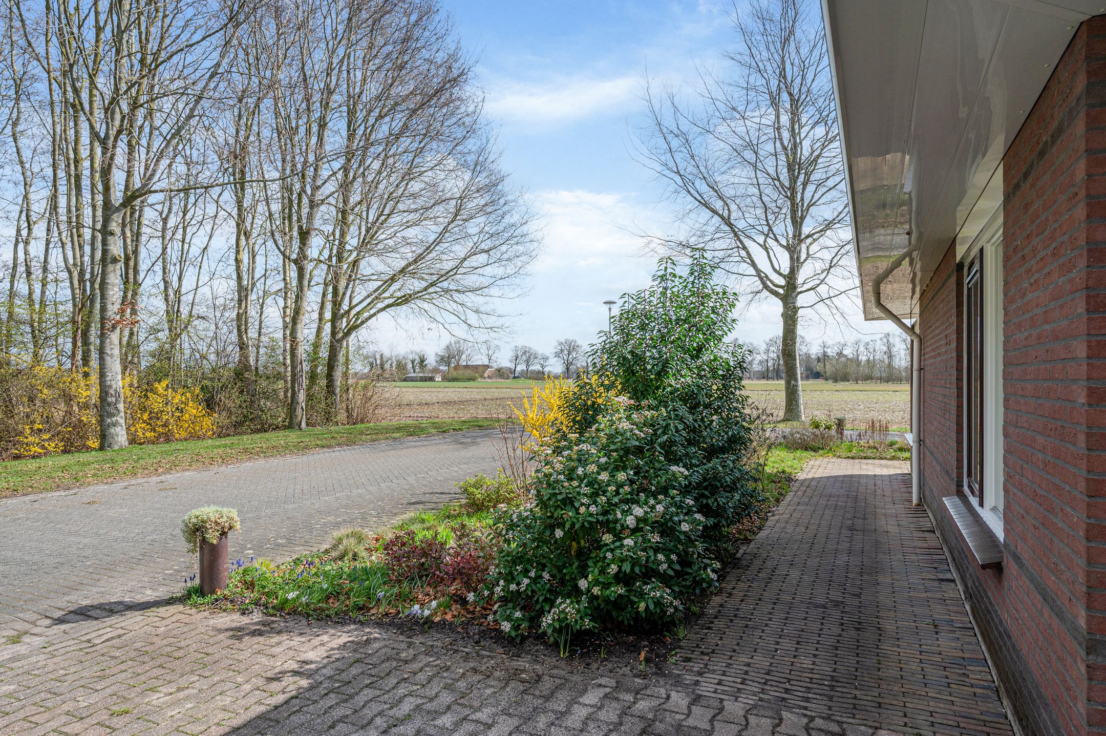 Photo 9 of Boerhoorn 9