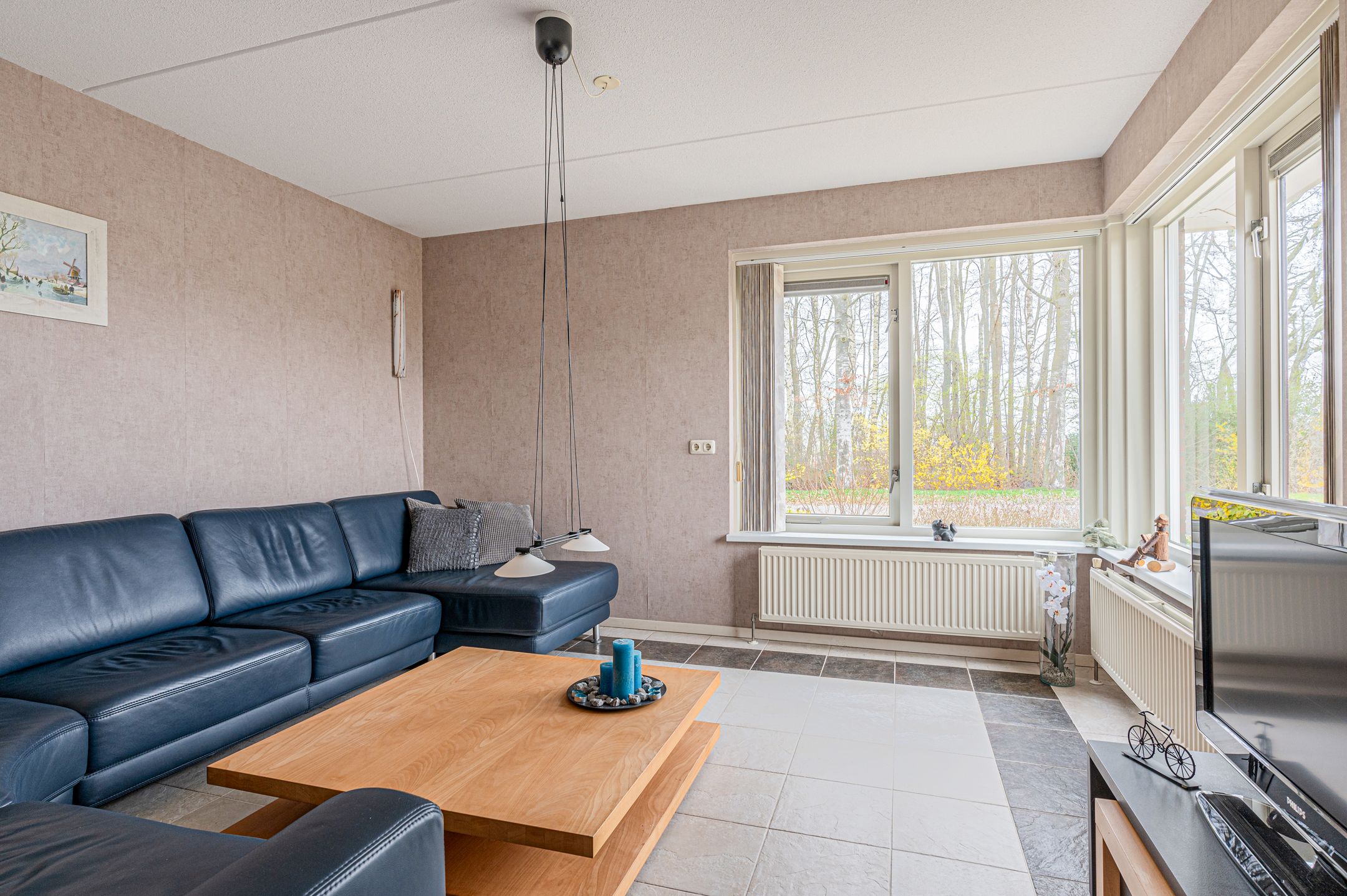 Photo 15 of Boerhoorn 9