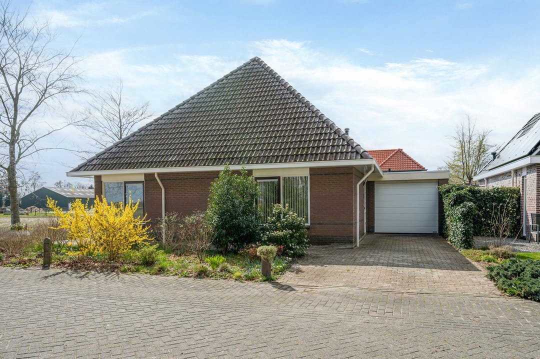 Photo 8 of Boerhoorn 9