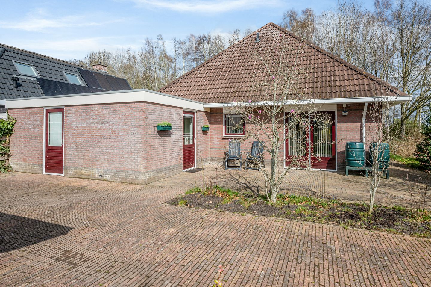 Photo 44 of Boerhoorn 9