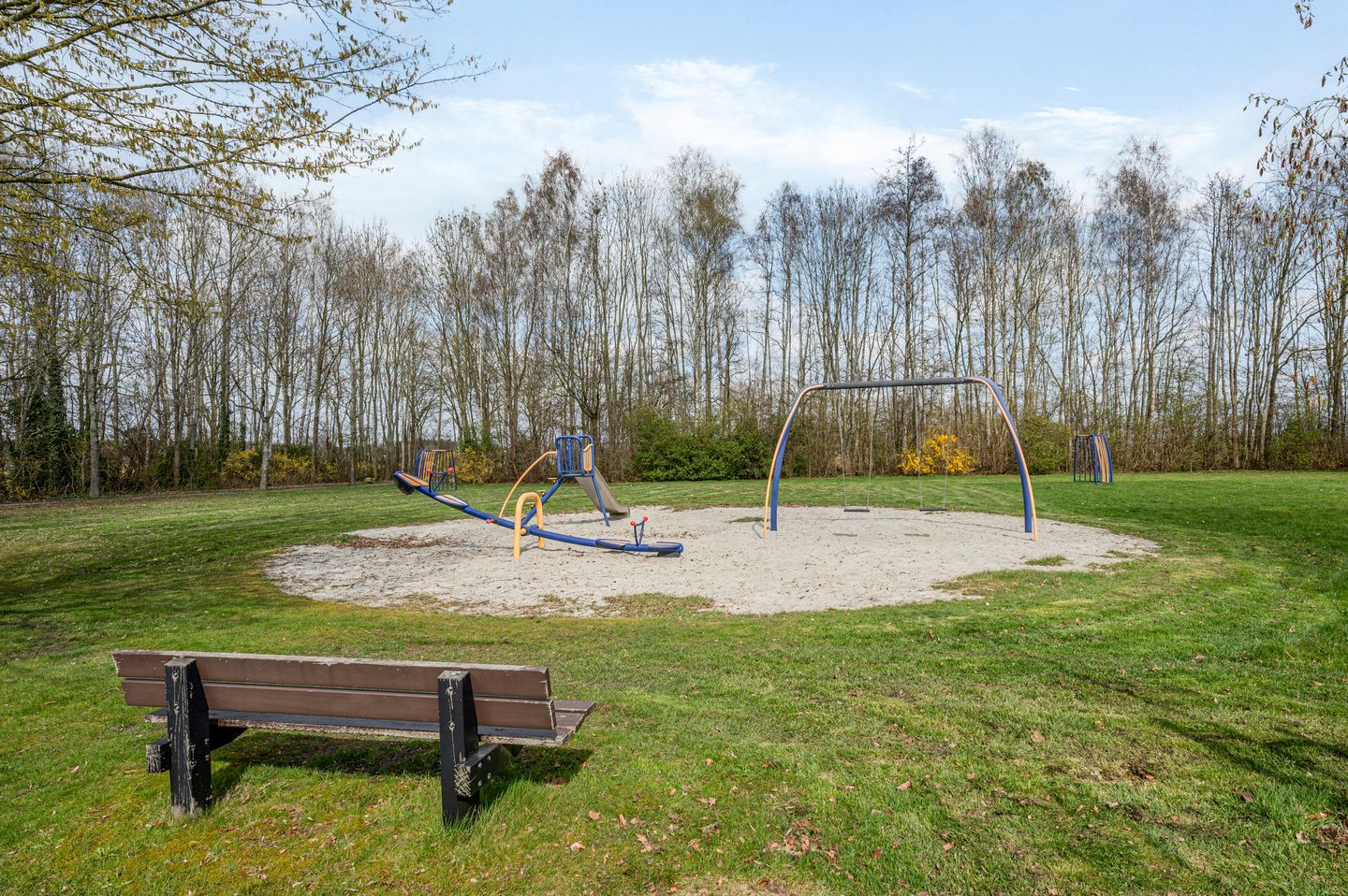 Photo 64 of Boerhoorn 9