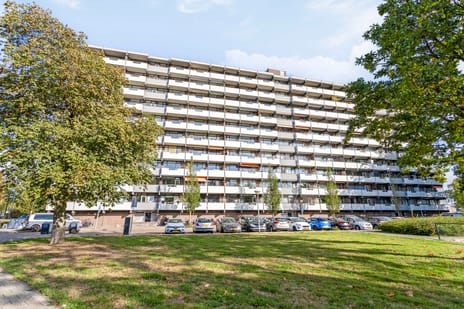 Graaf Adolfstraat thumbnail