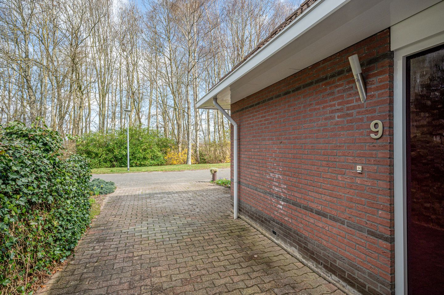 Photo 10 of Boerhoorn 9