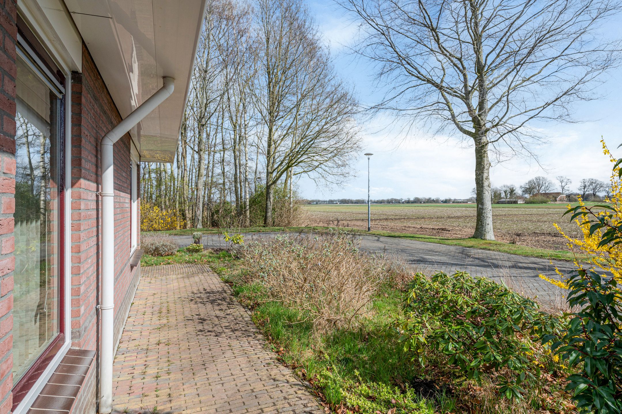 Photo 48 of Boerhoorn 9