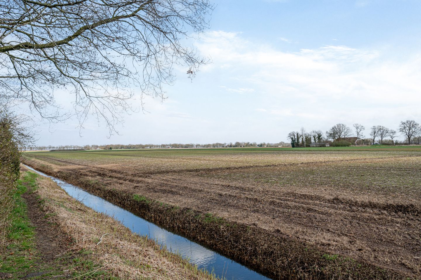 Photo 65 of Boerhoorn 9