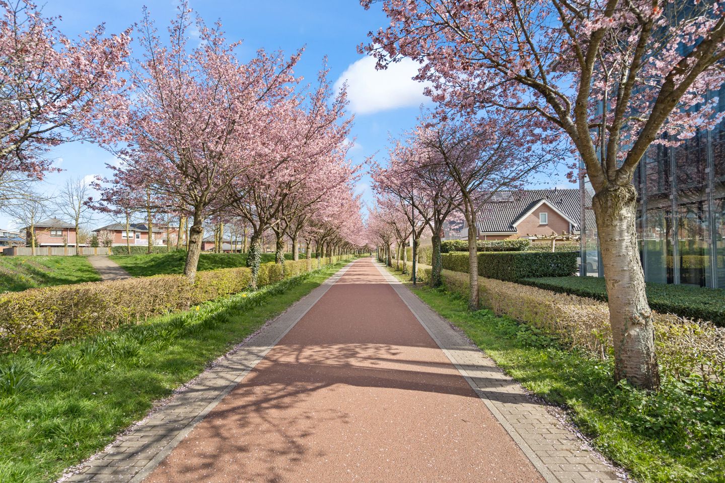 Foto 44 van Hollandsspoor 8