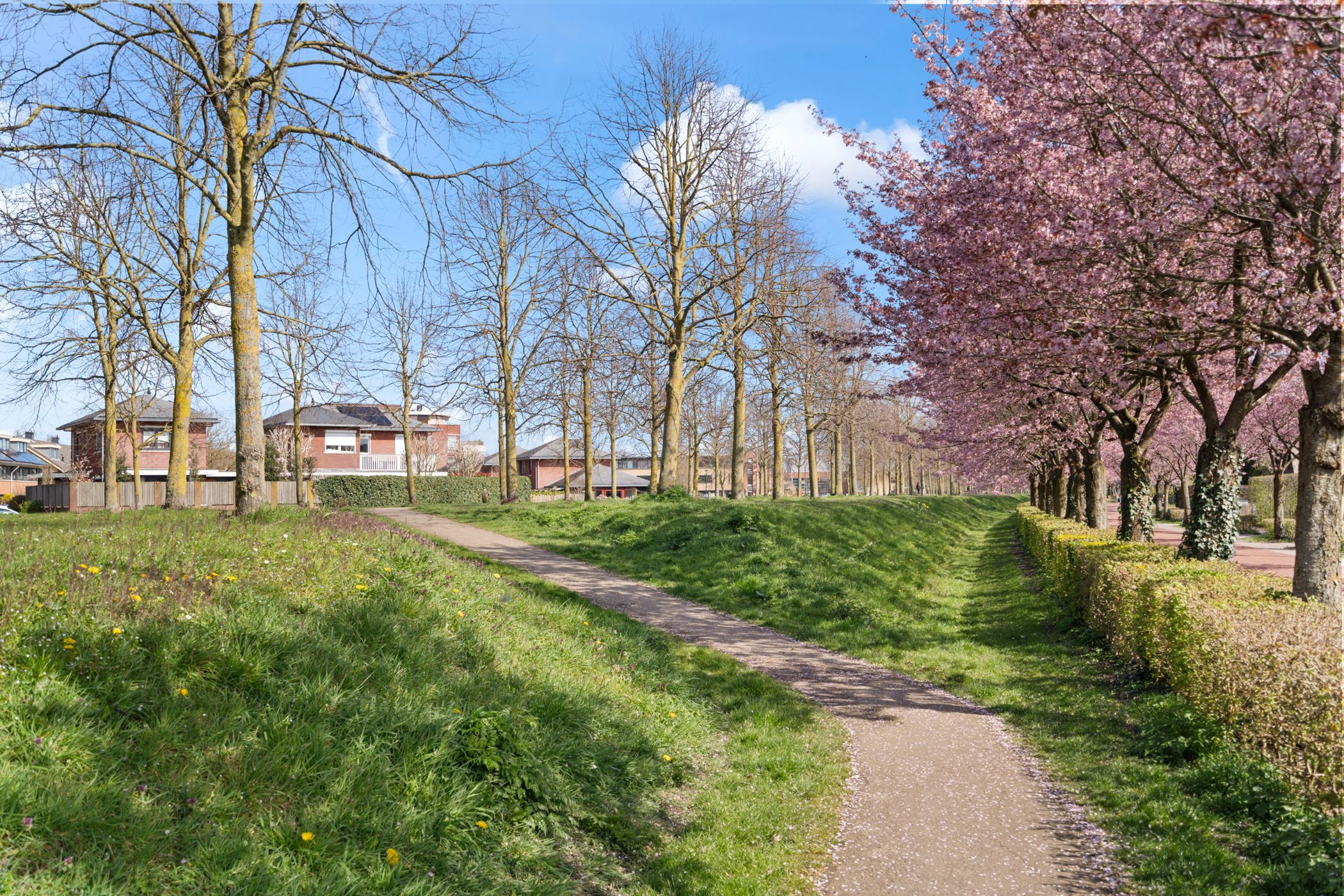 Foto 45 van Hollandsspoor 8