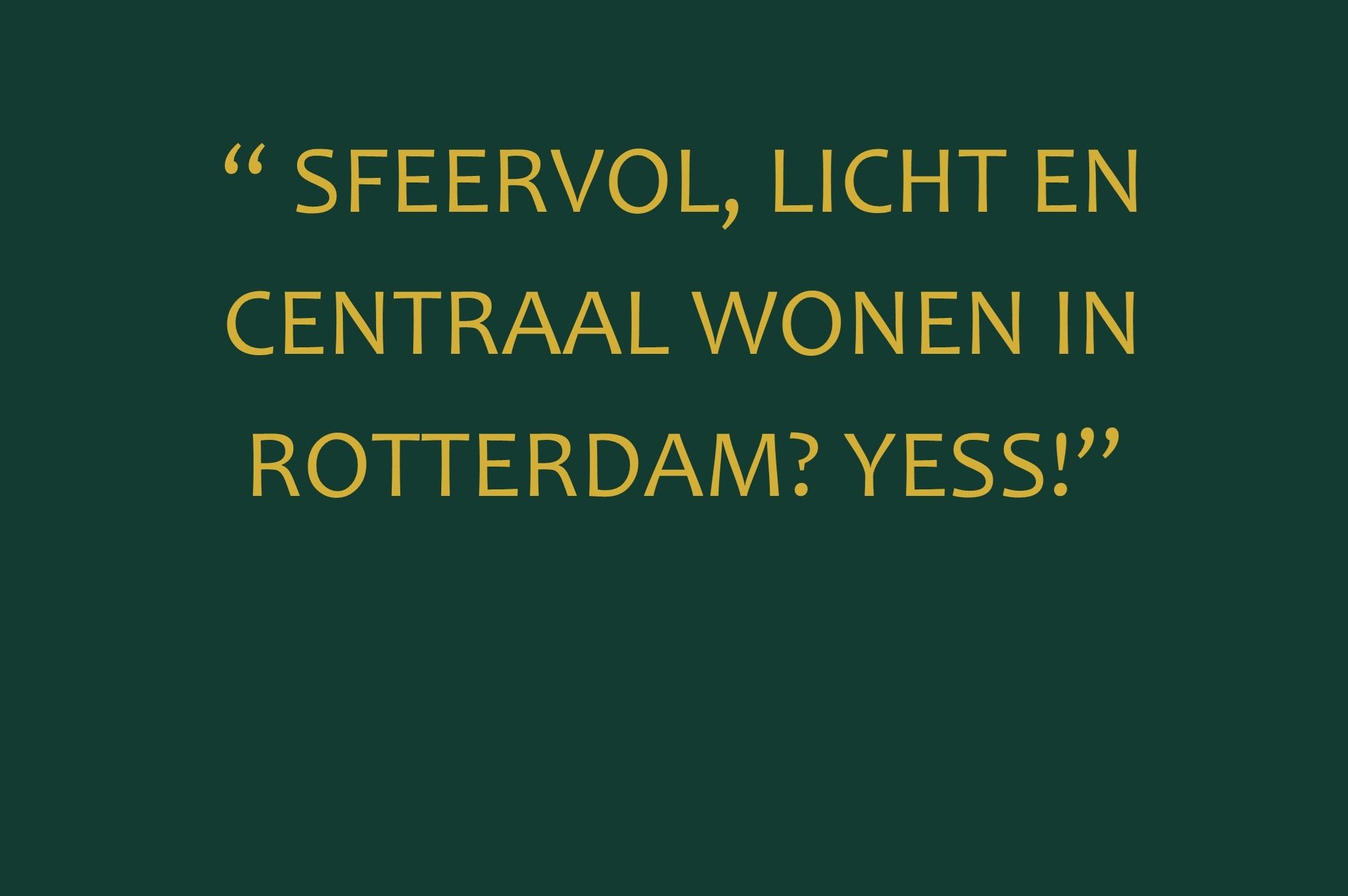 Foto 6 van Henegouwerlaan 60-B