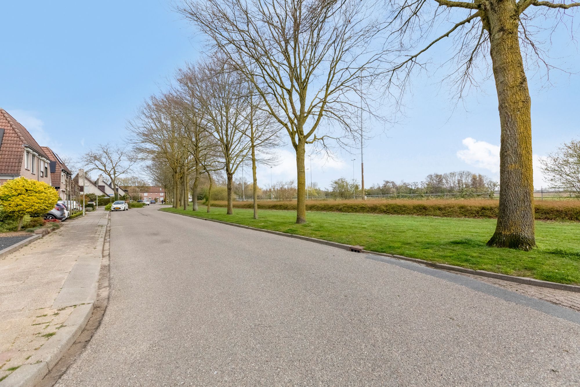 Foto 42 van De Rosmolen 161