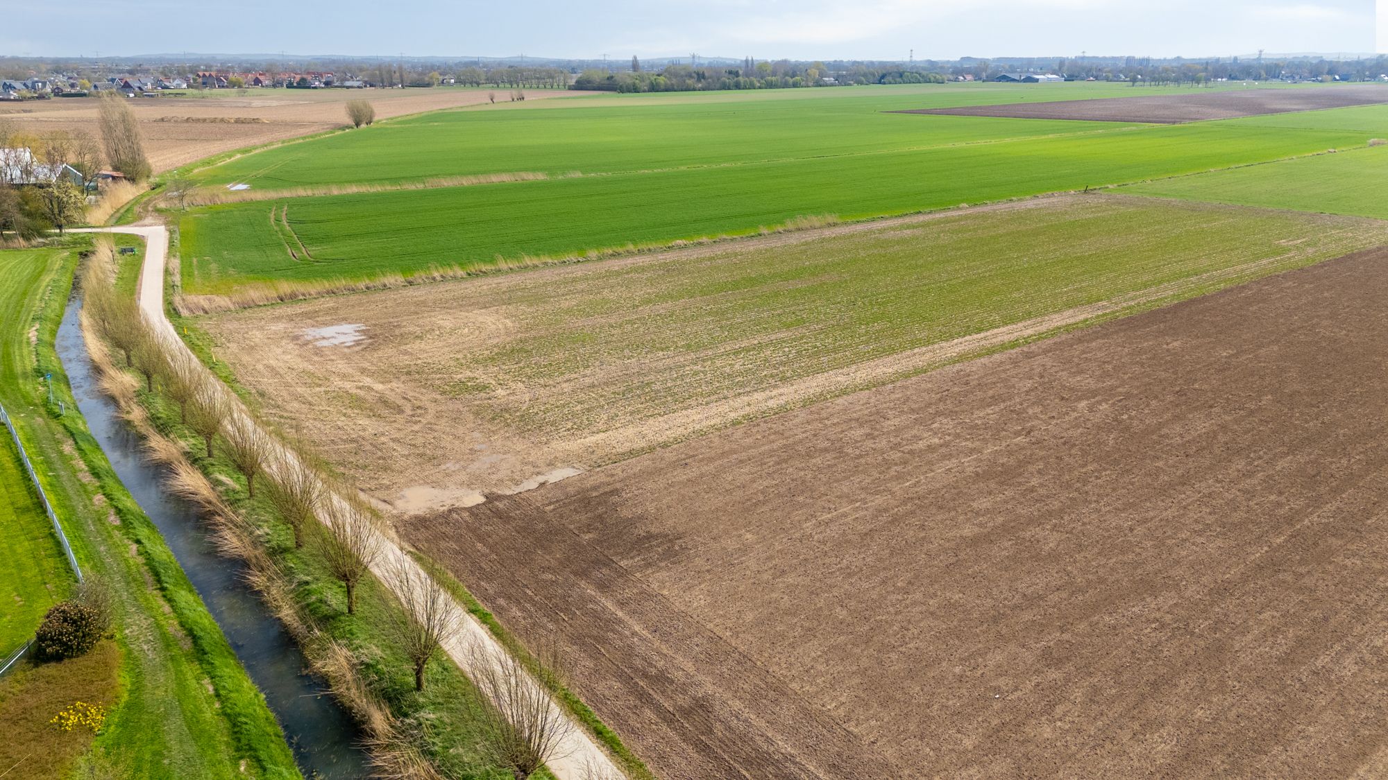 Foto 45 van De Rosmolen 161