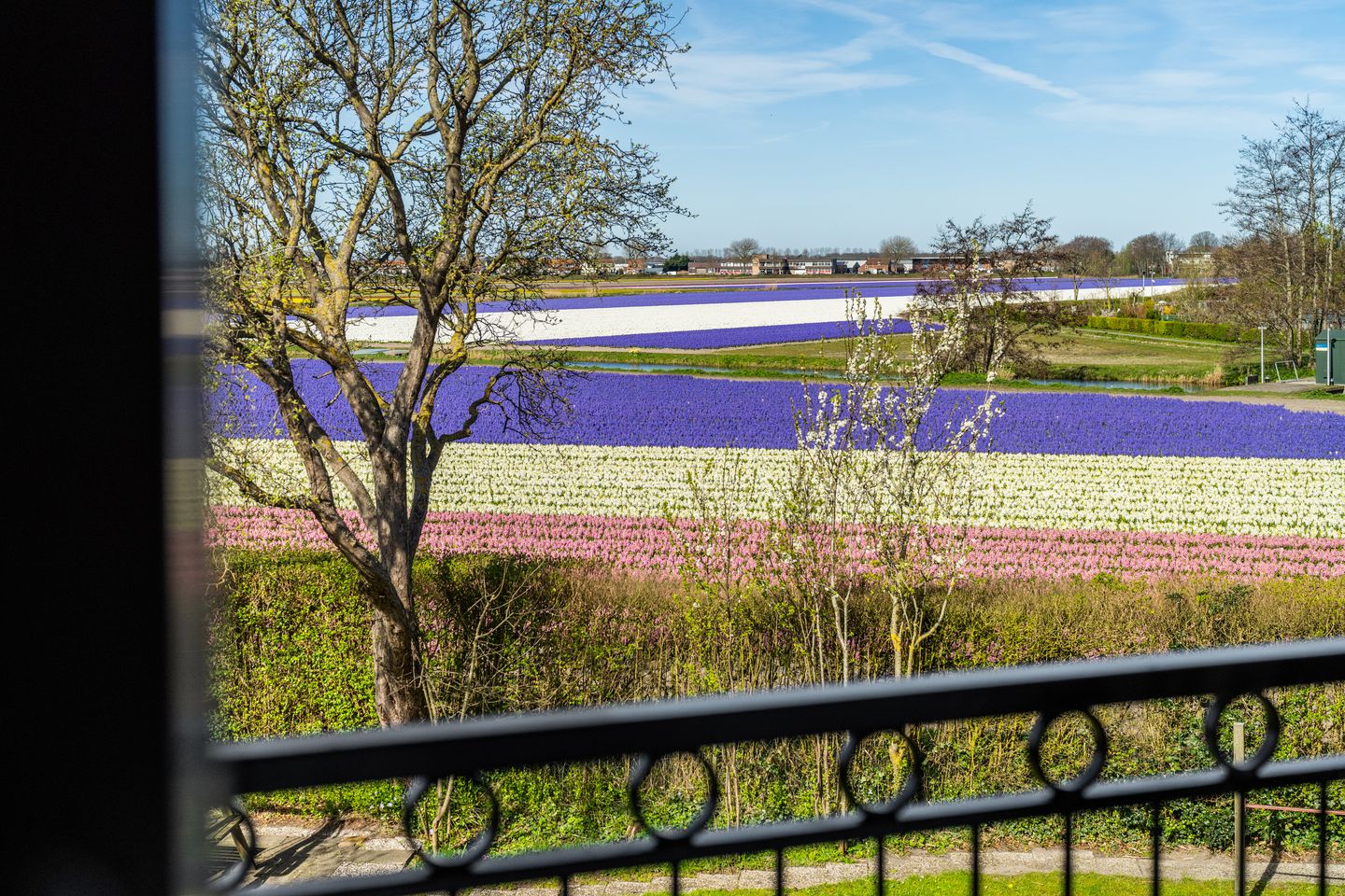 Foto 35 van Van den Endelaan 41