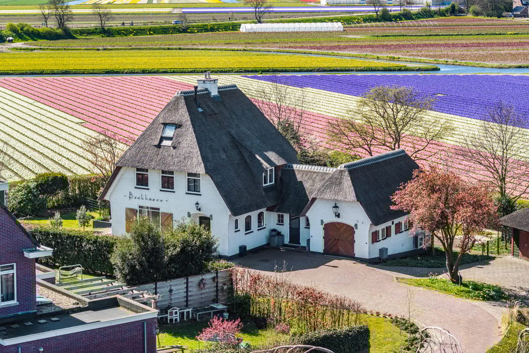 Foto 2 van Van den Endelaan 41