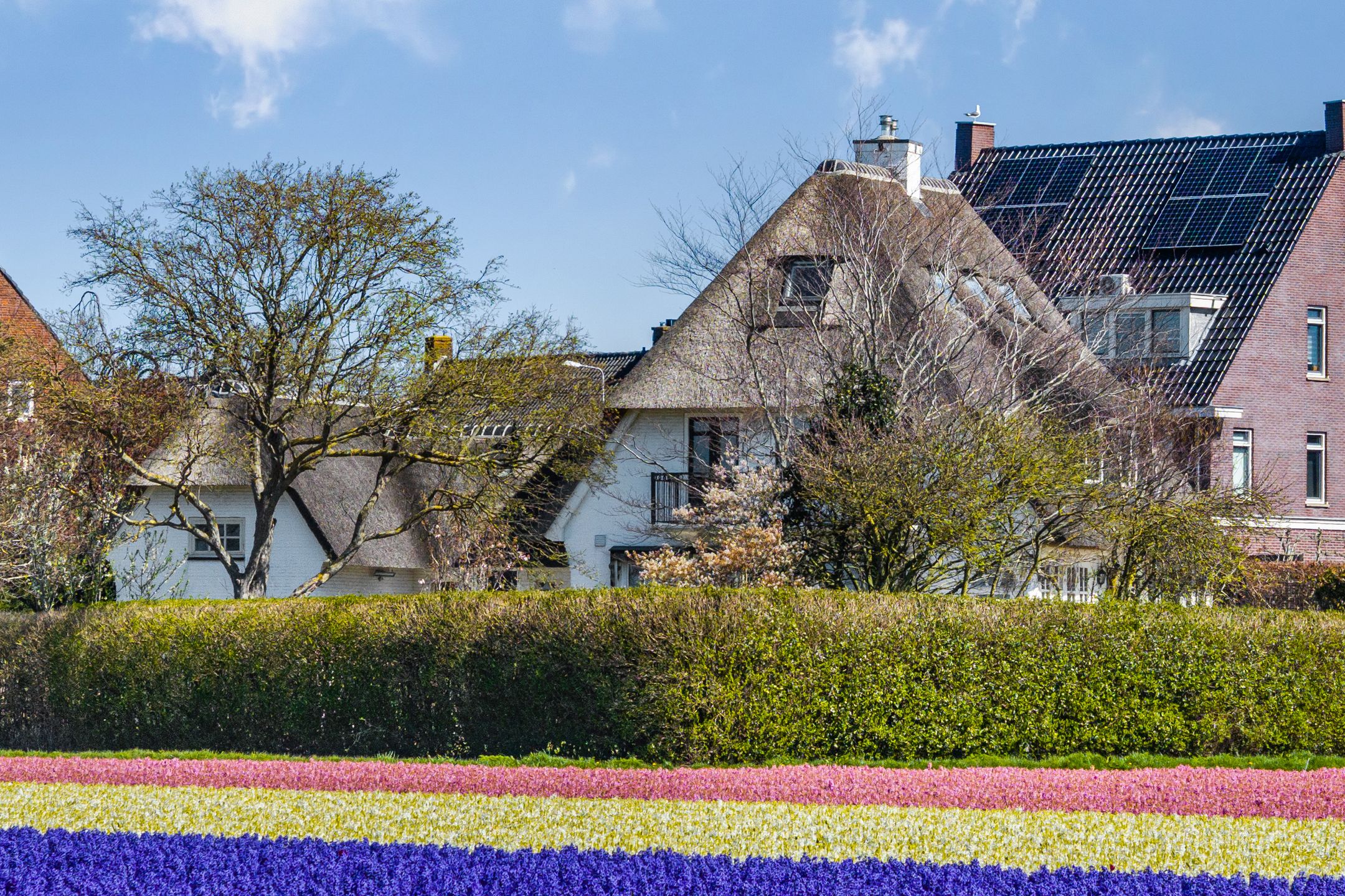 Foto 36 van Van den Endelaan 41