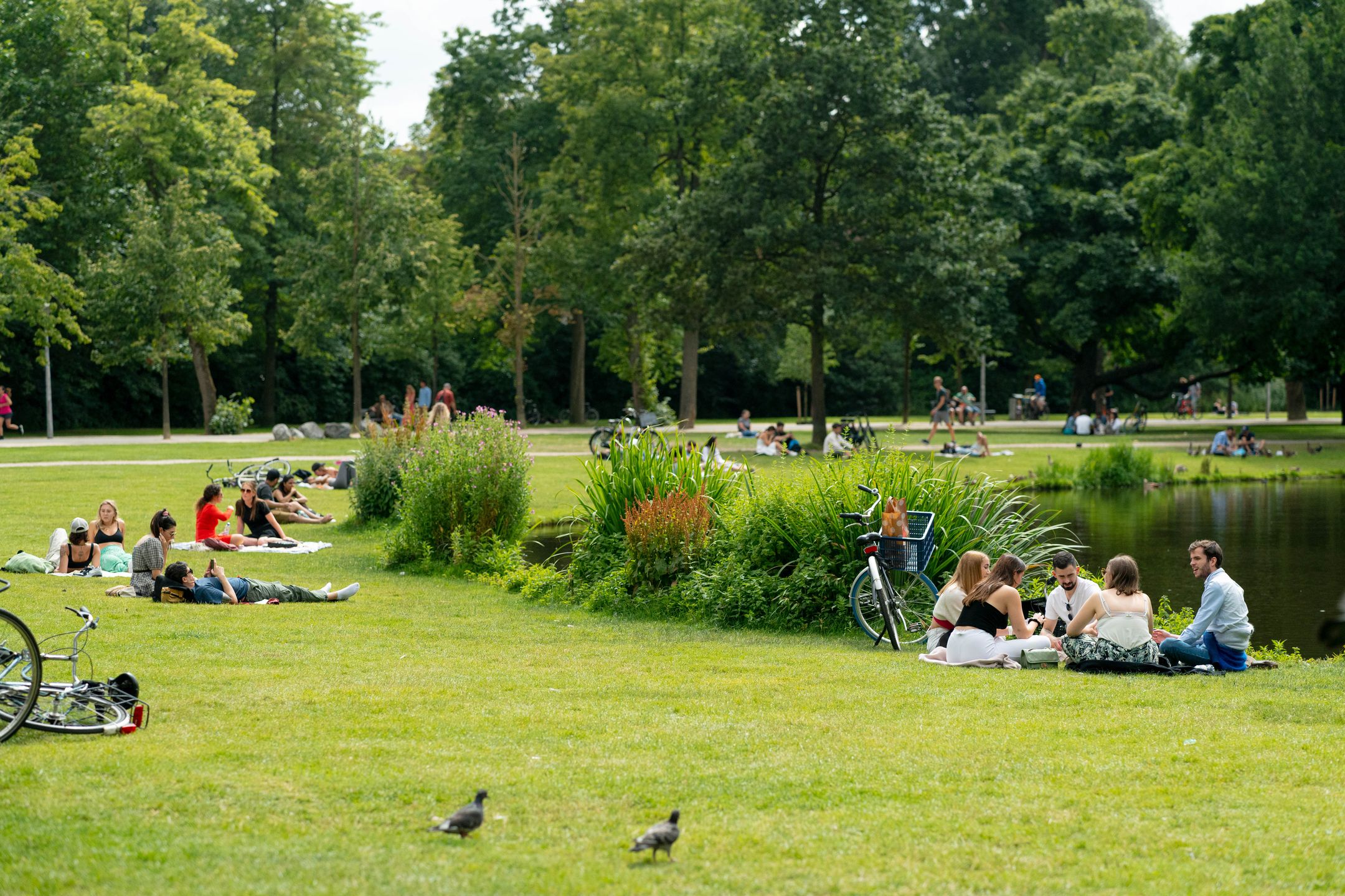 Photo 33 of Kinkerstraat 222-A