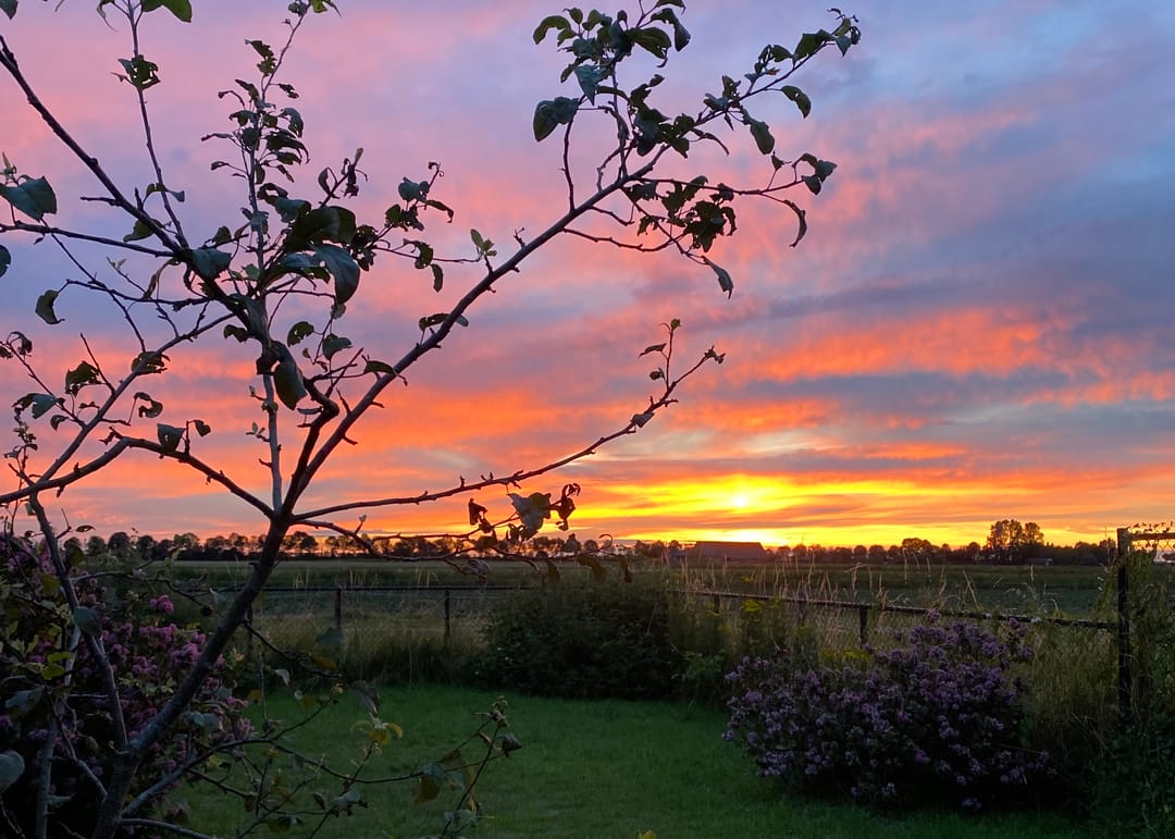 Foto 53 van Groenendijk 68