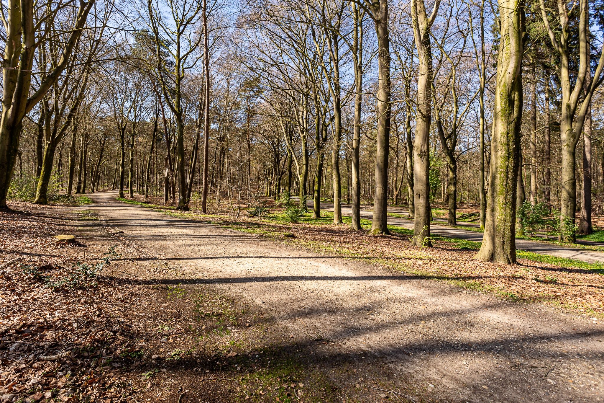 Foto 57 van de Ruyterstraat 44