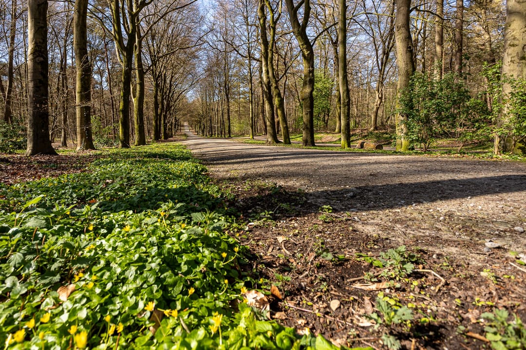 Foto 58 van de Ruyterstraat 44