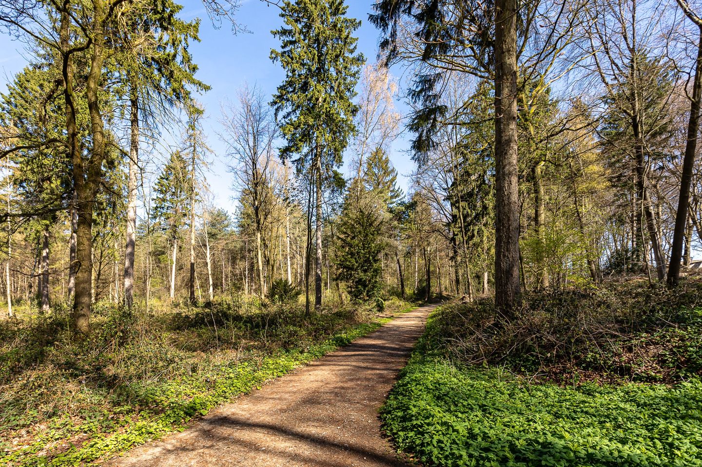 Foto 59 van de Ruyterstraat 44