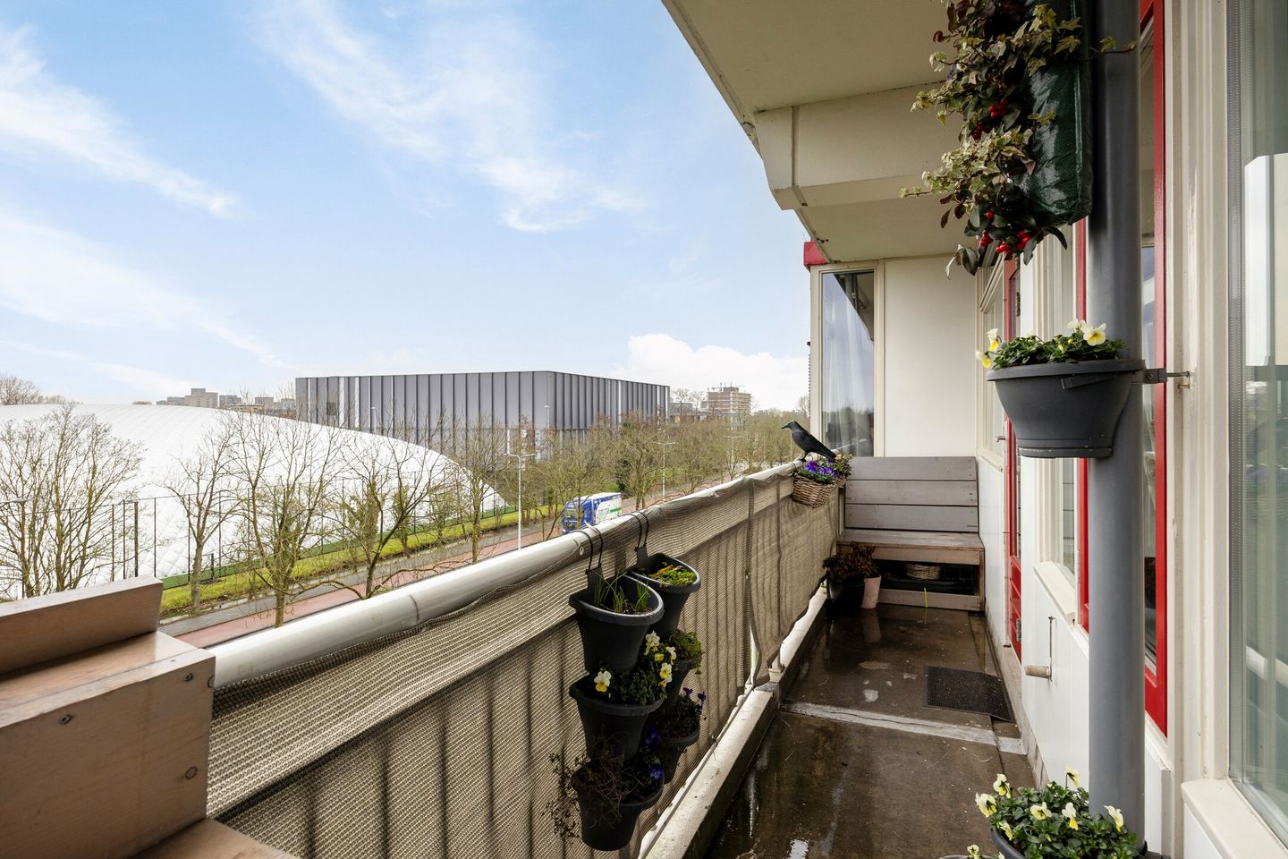 Photo 19 of Jacques Urlusplantsoen 308