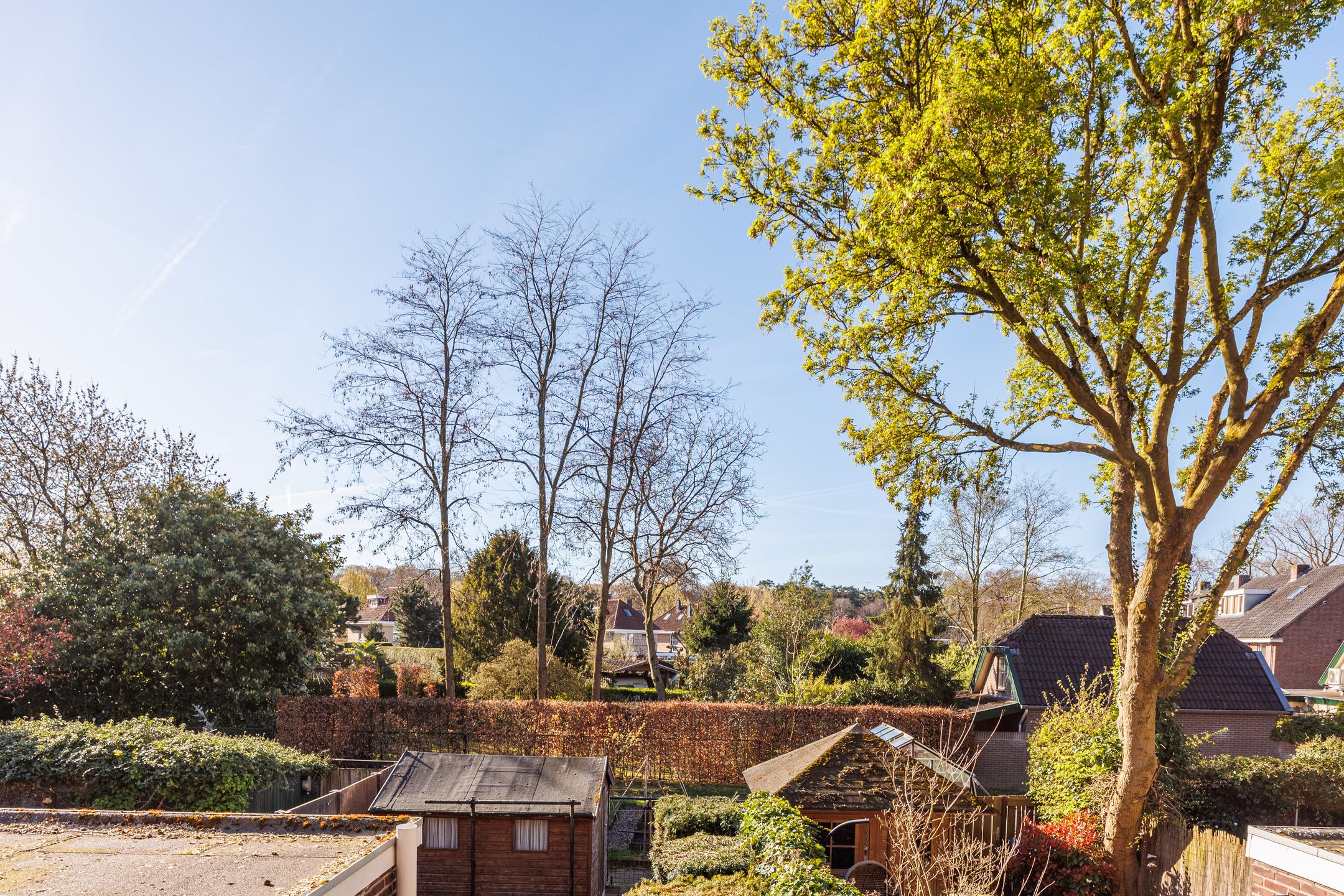 Photo 39 of d'Almarasweg 169