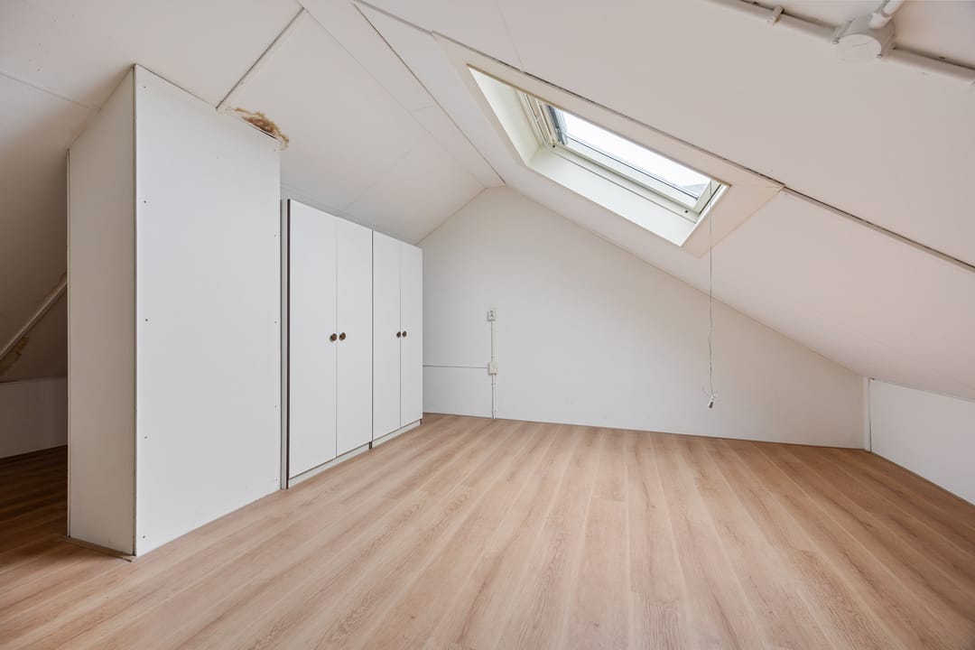 Photo 31 of Bereklauw 10