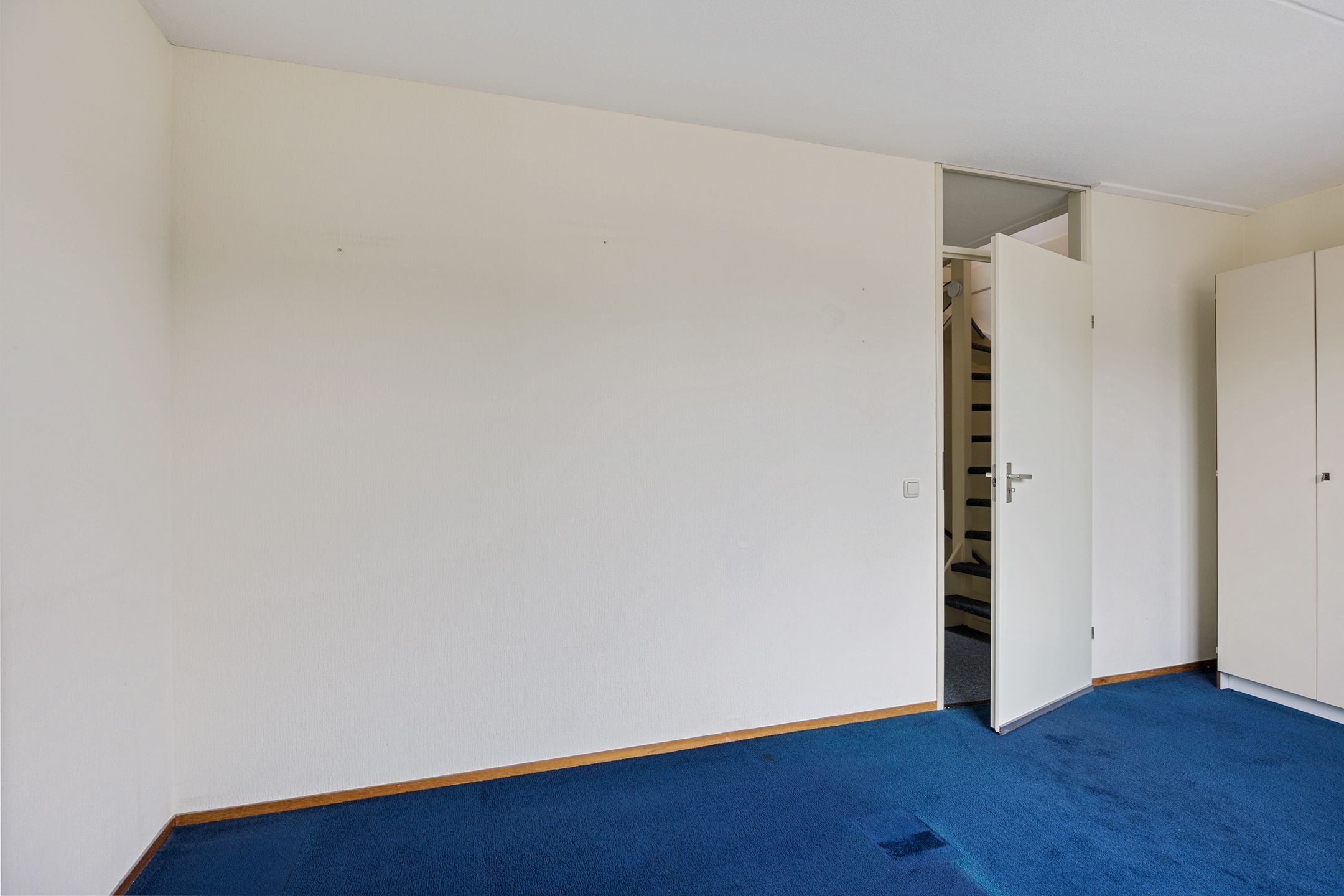 Photo 27 of Bereklauw 10