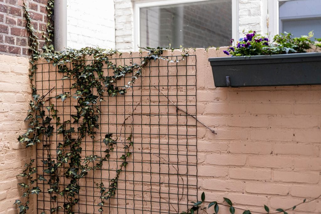 Photo 33 of Badhuisstraat 183