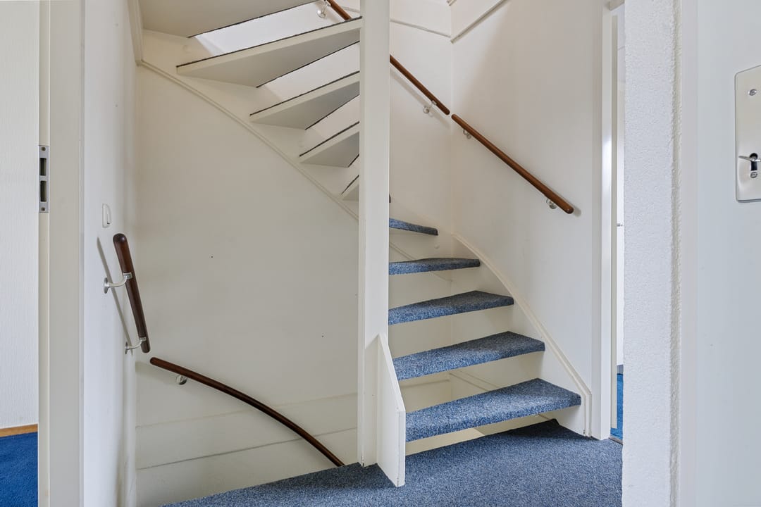 Photo 23 of Bereklauw 10