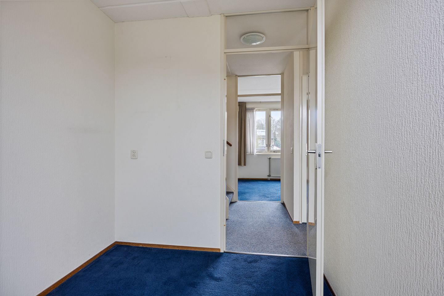 Photo 20 of Bereklauw 10