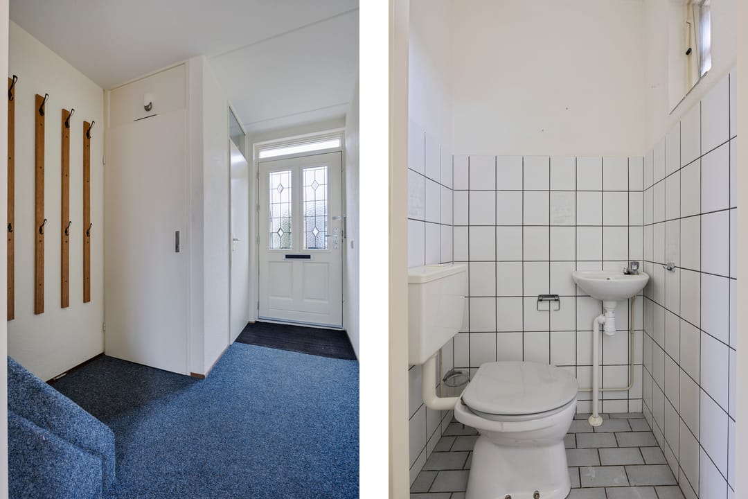 Photo 43 of Bereklauw 10