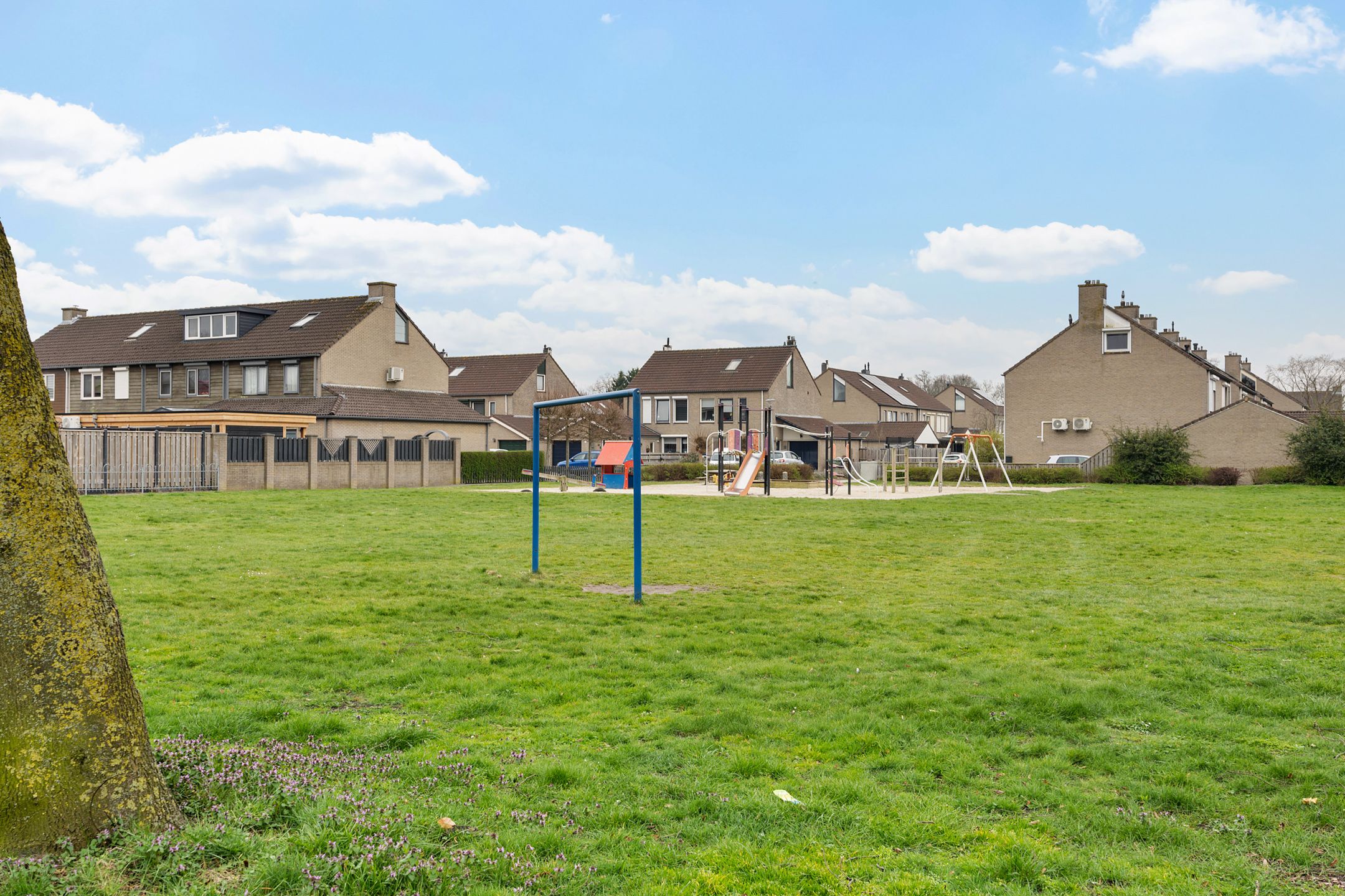 Photo 42 of Bereklauw 10