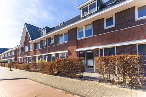 Albert van Damstraat thumbnail