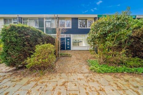 undefined main image