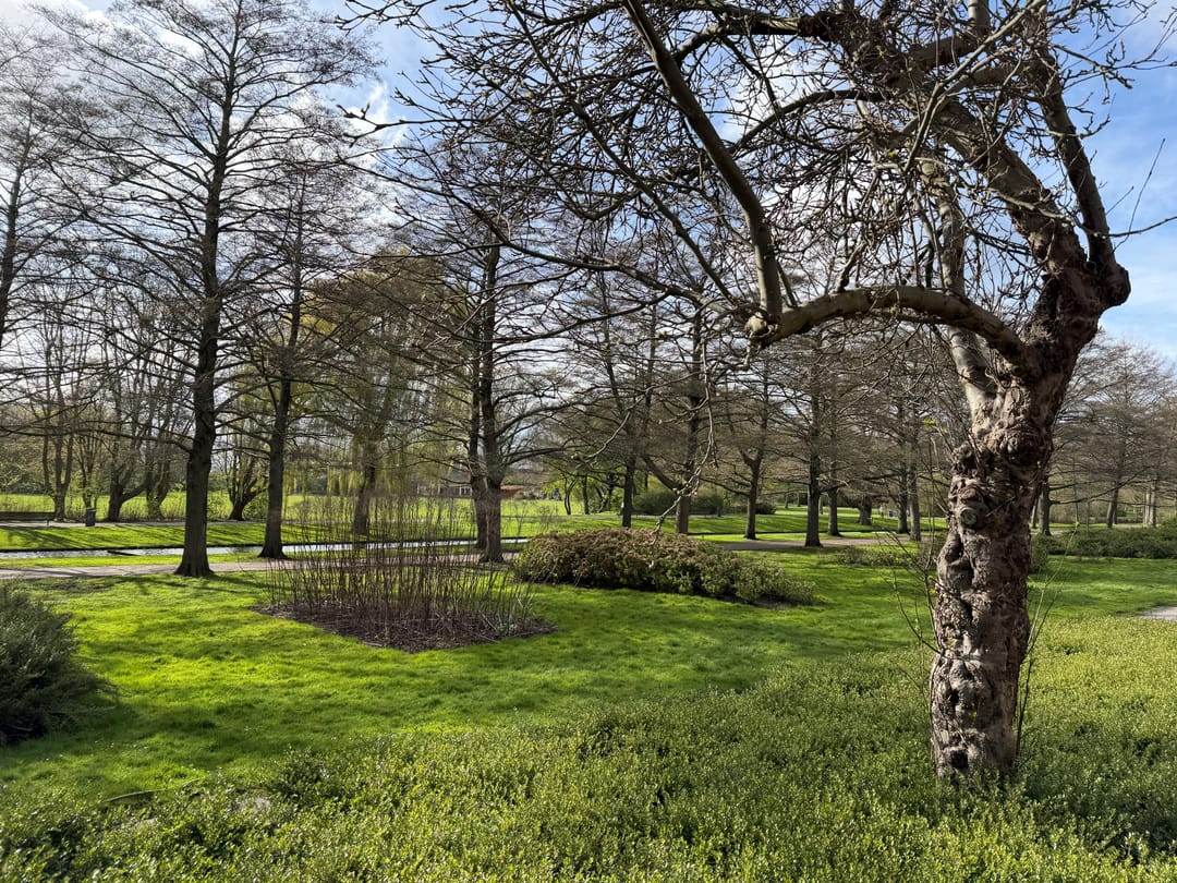 Foto 26 van Sonmansstraat 126-A02