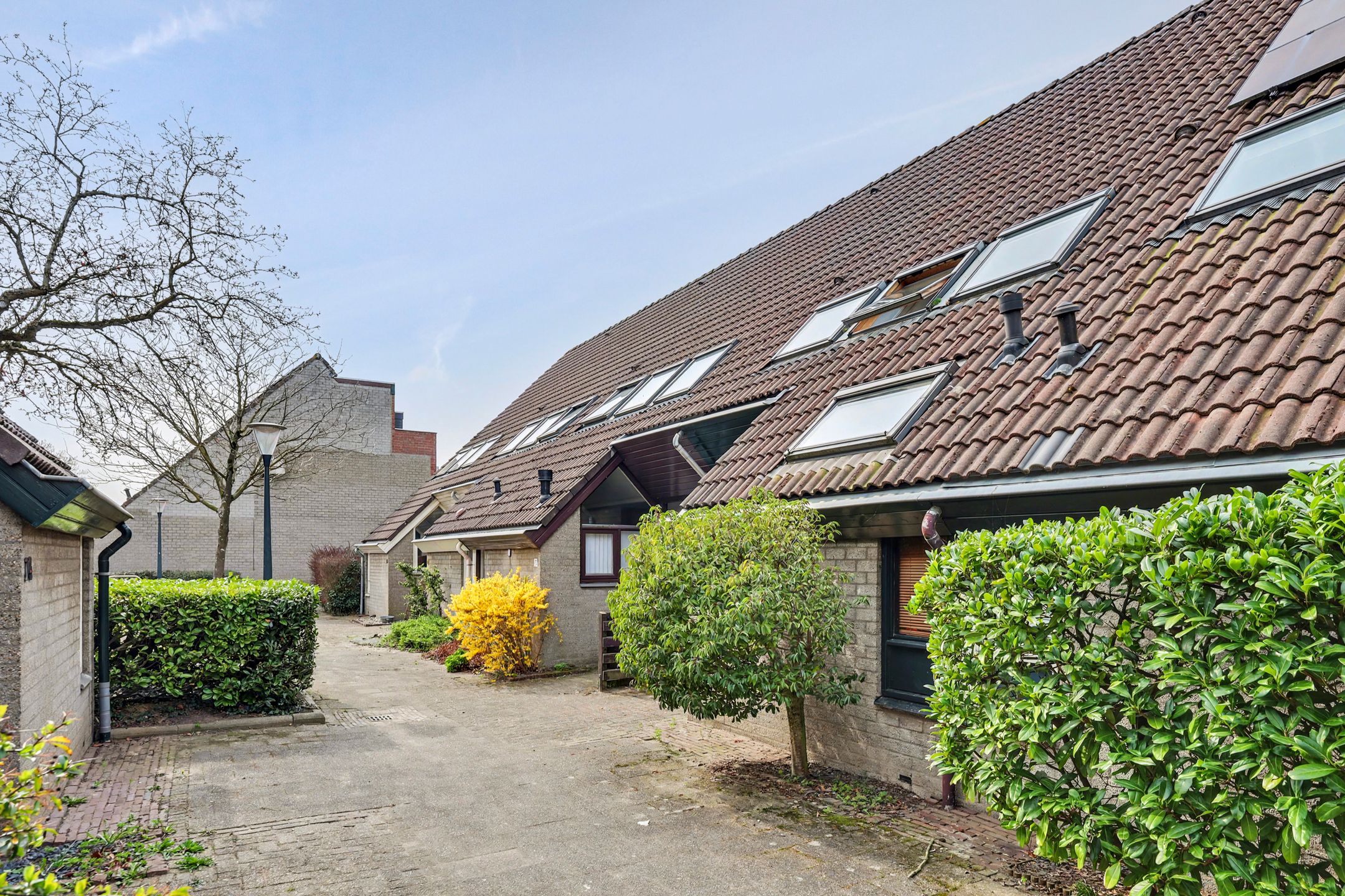 Foto 30 van De Jacht 15